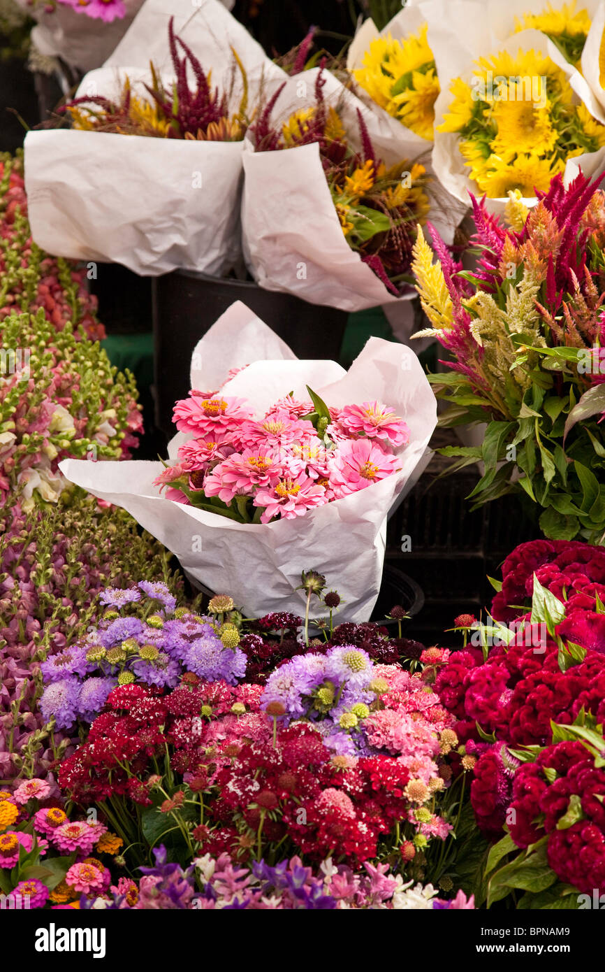 Flower Stall, Union Square Farmers' Market, NYC Stock Photo Alamy