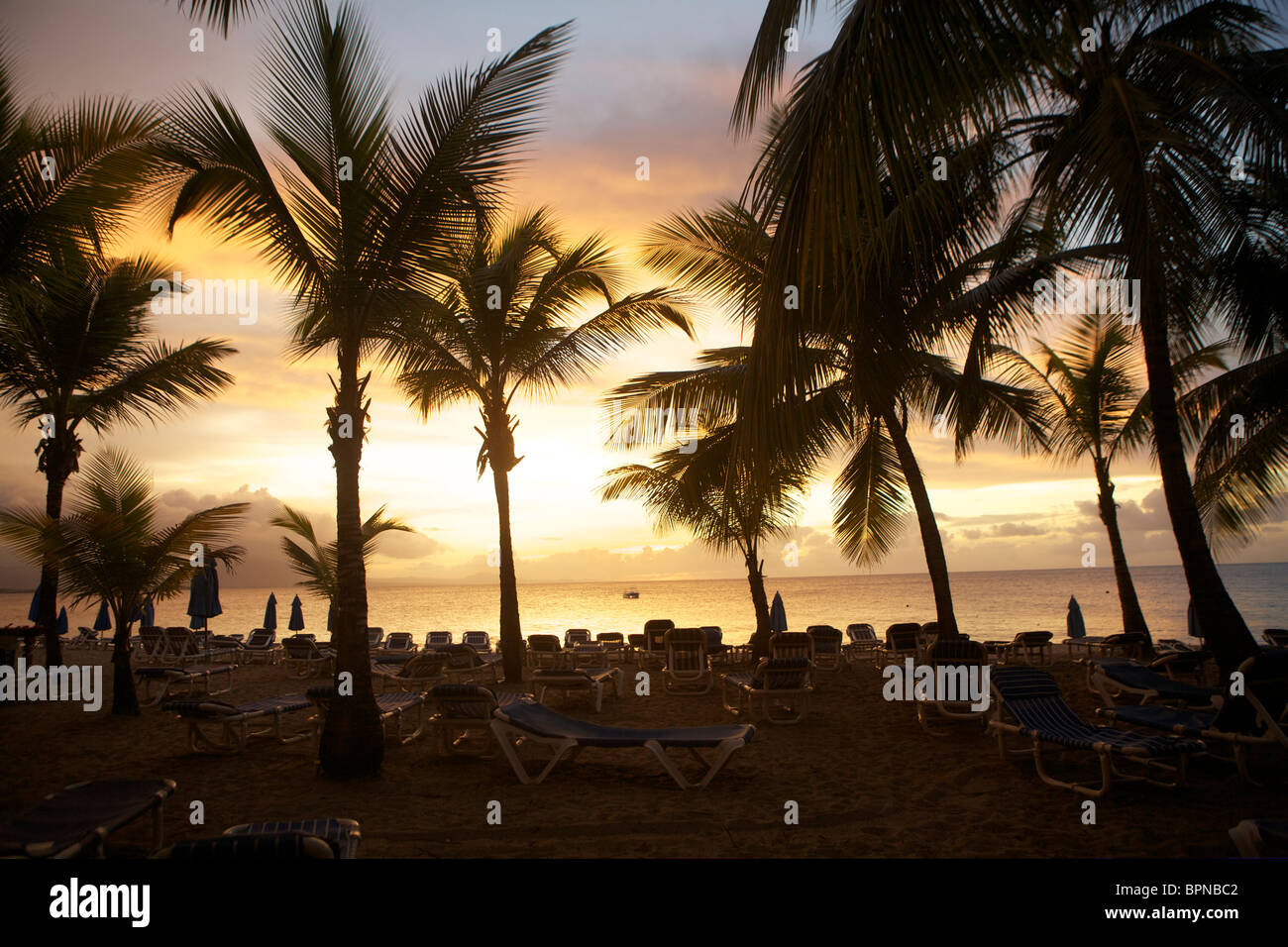 sunset and palm trees on the beach at Sosua, the Dominican Republic, in
