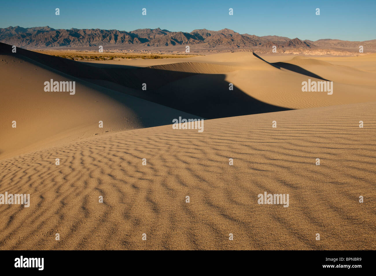 dunes, Death Valley National Park, California, USA Stock Photo - Alamy