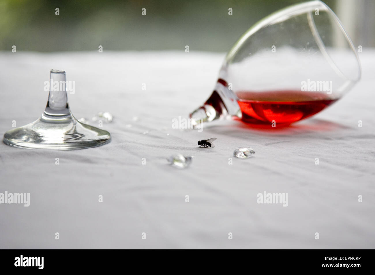 still life with a glass of wine and a fly. Stock Photo