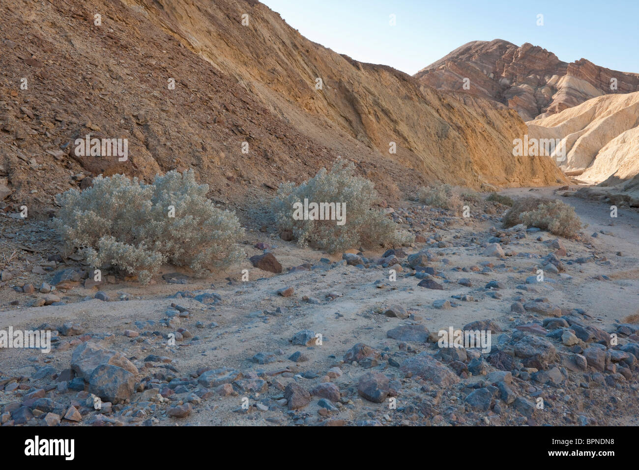 Golden Canyon, Death Valley National Park, California, USA Stock Photo ...