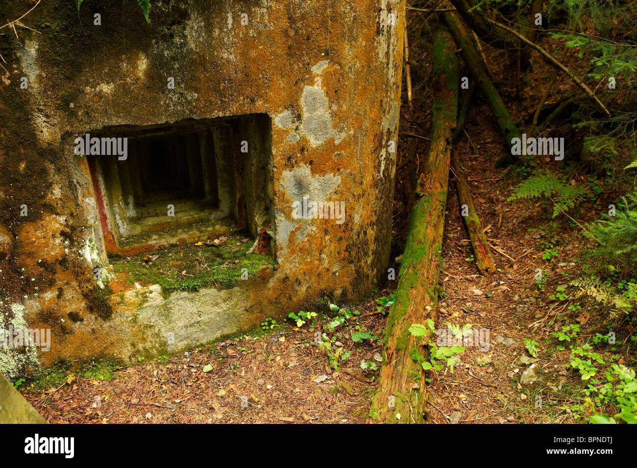 Ropik, Bunker, Czech Republic - Germany borders, Kasperske Hory Stock ...