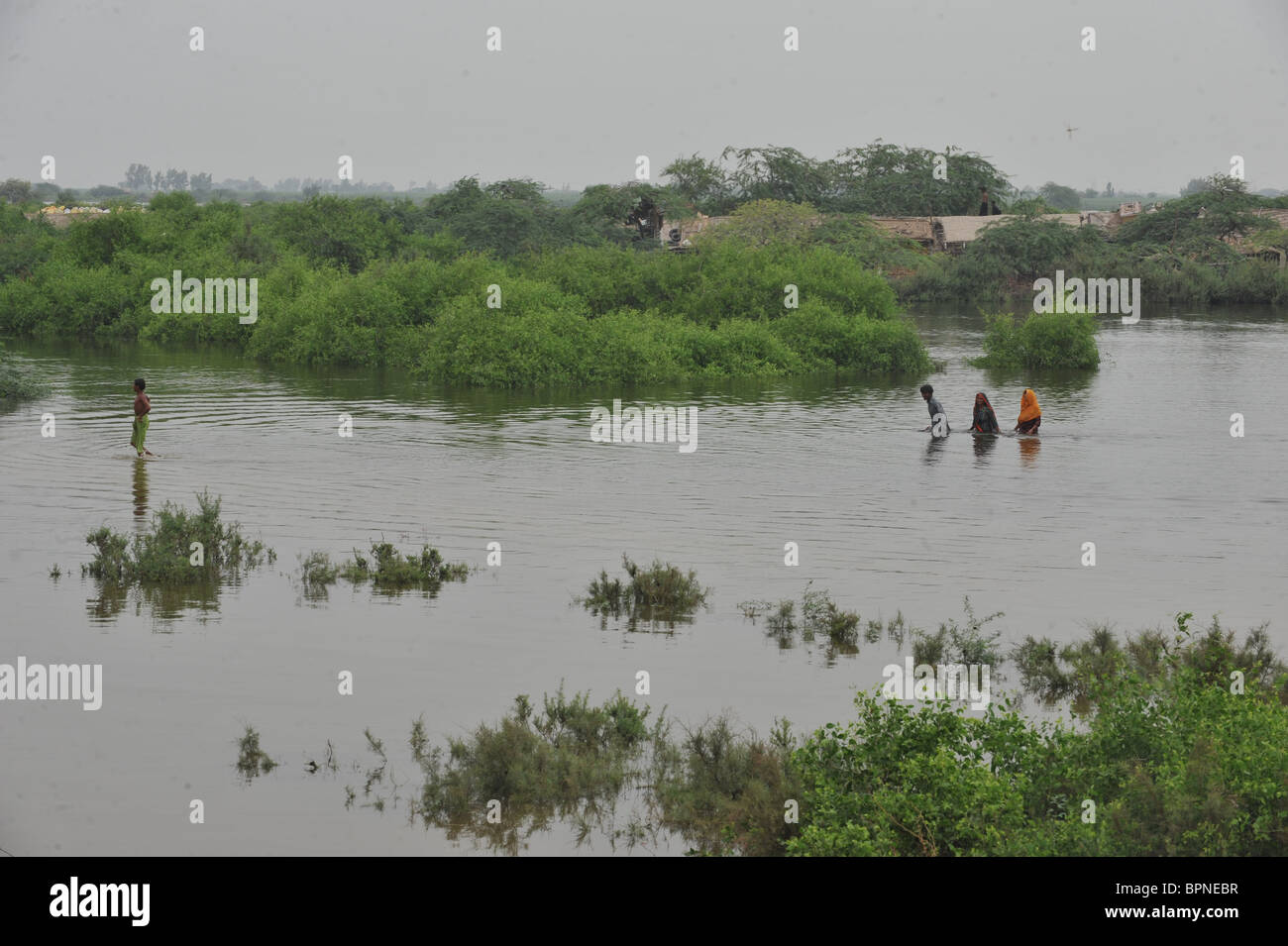 Flood victims living on the only dry areas in Sujawal, Sindh Province, Pakistan on Wednesday, 1st September, 2010 Stock Photo