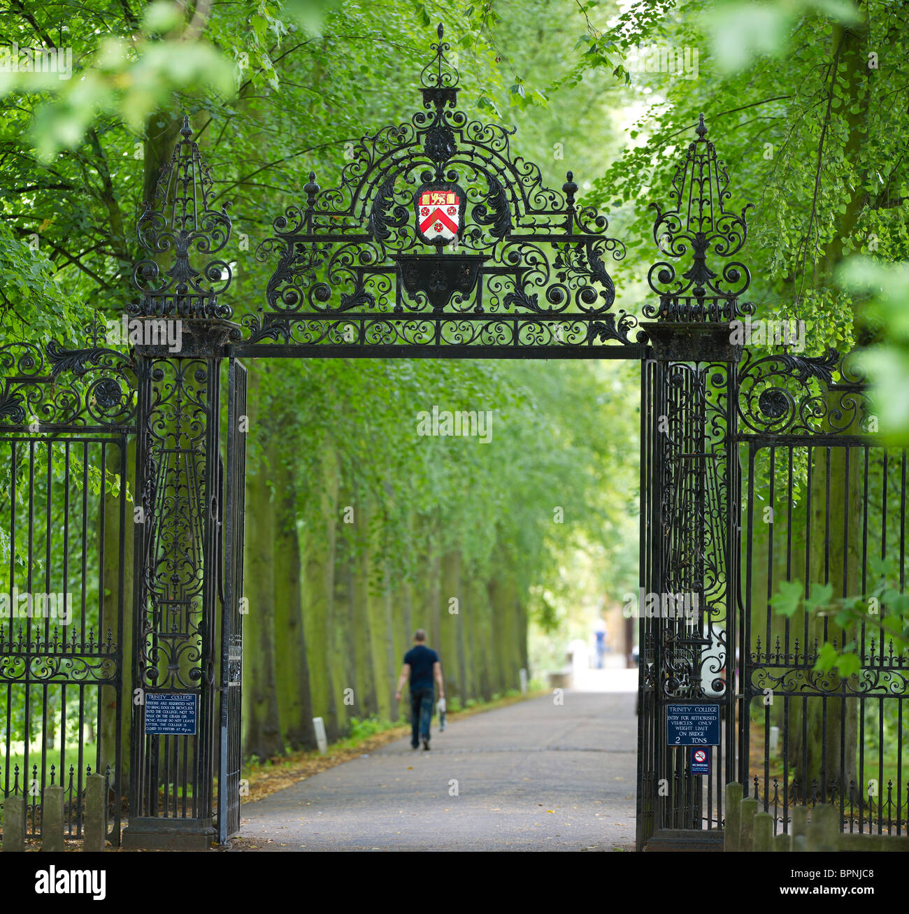 Trinity college, Cambridge university, back entrance gate Stock Photo