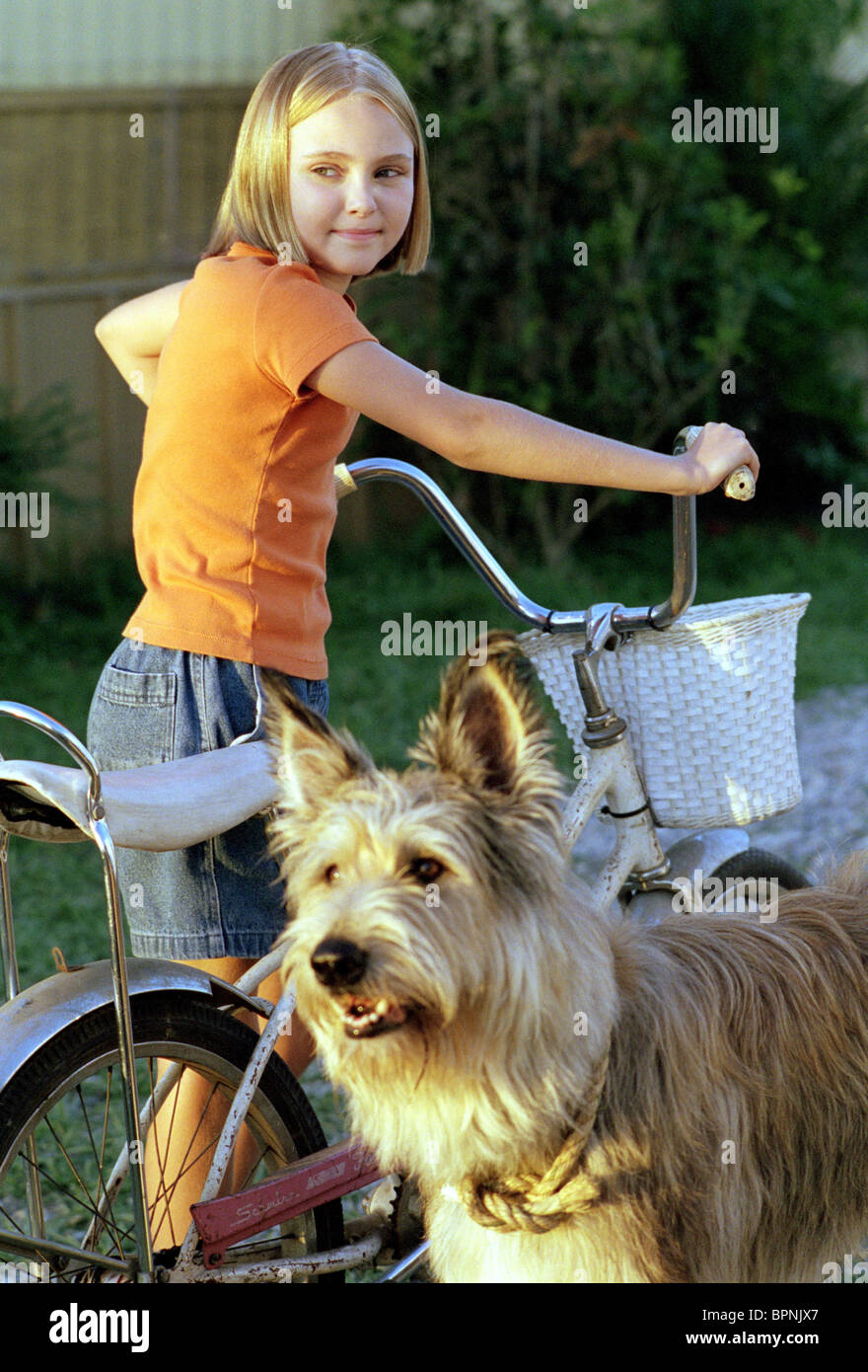 ANNASOPHIA ROBB & WINN-DIXIE BECAUSE OF WINN-DIXIE (2005 Stock Photo ...