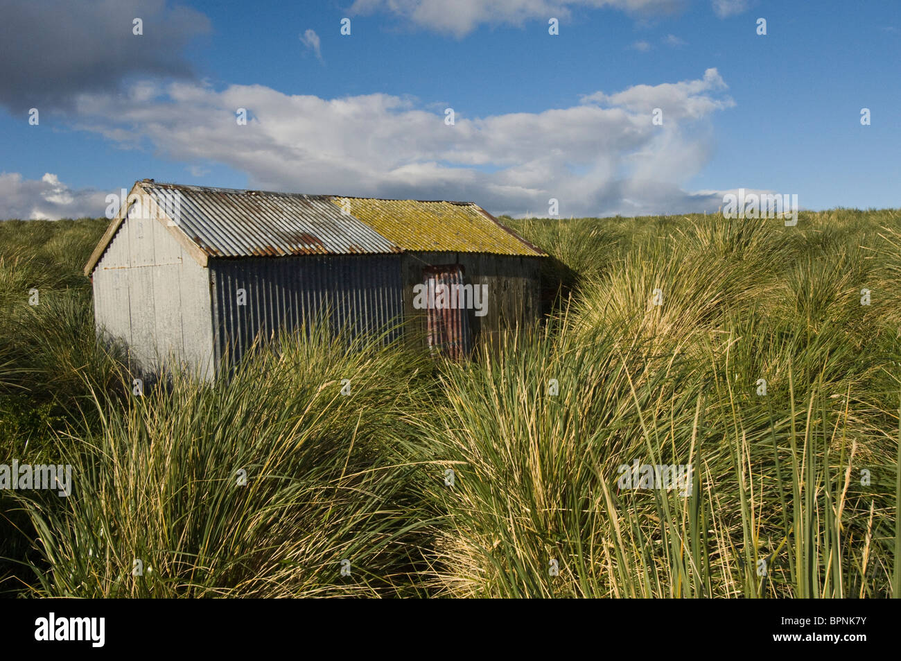 Kidney Island hut. Originally tussac grass cutters hut but now used for Researchers. Off of East Falkland. Falkland Islands. Stock Photo