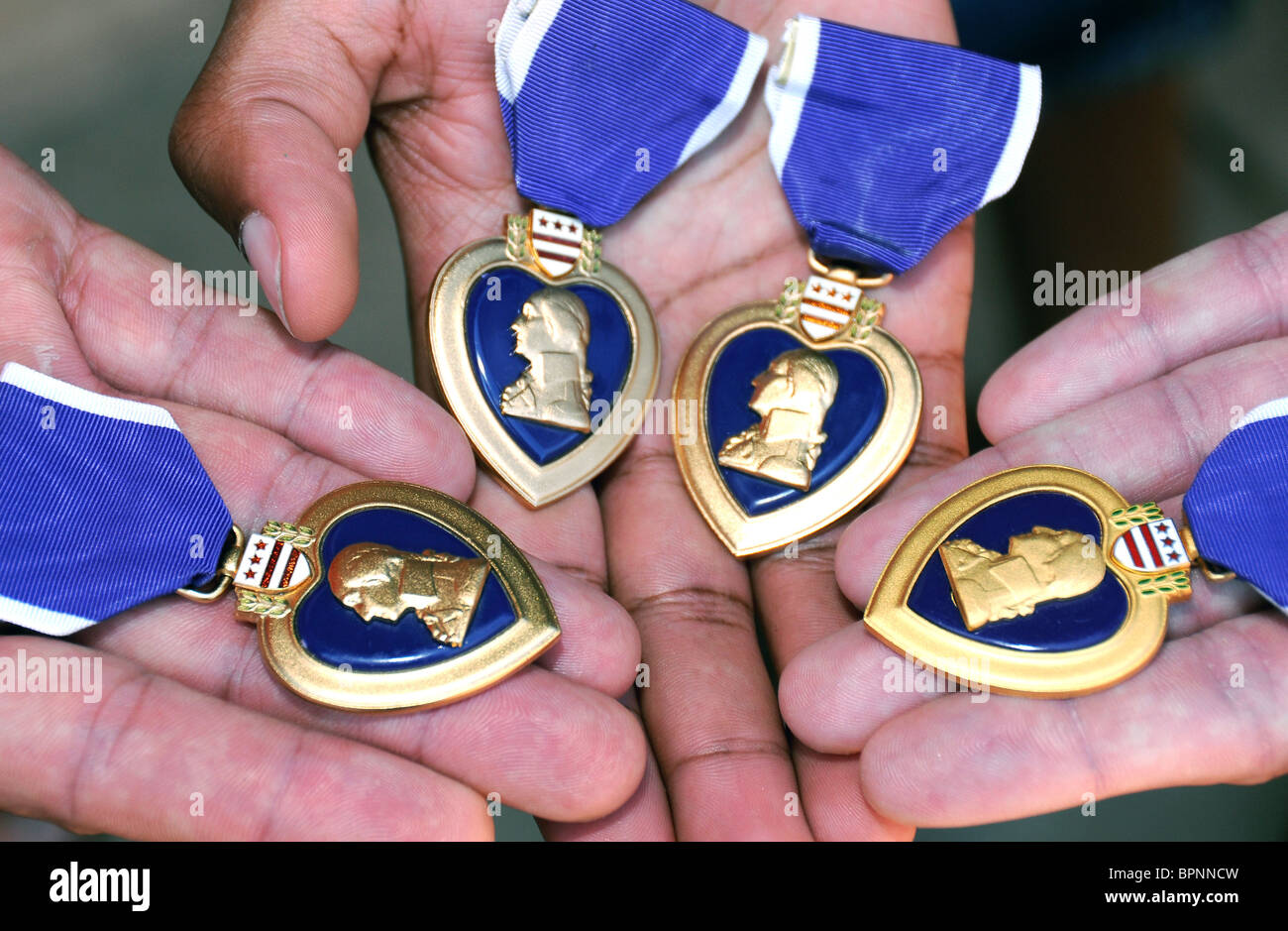 U. S. military veterans display the Purple Hearts they were awarded after the sustained injuries while serving in Iraq. Stock Photo