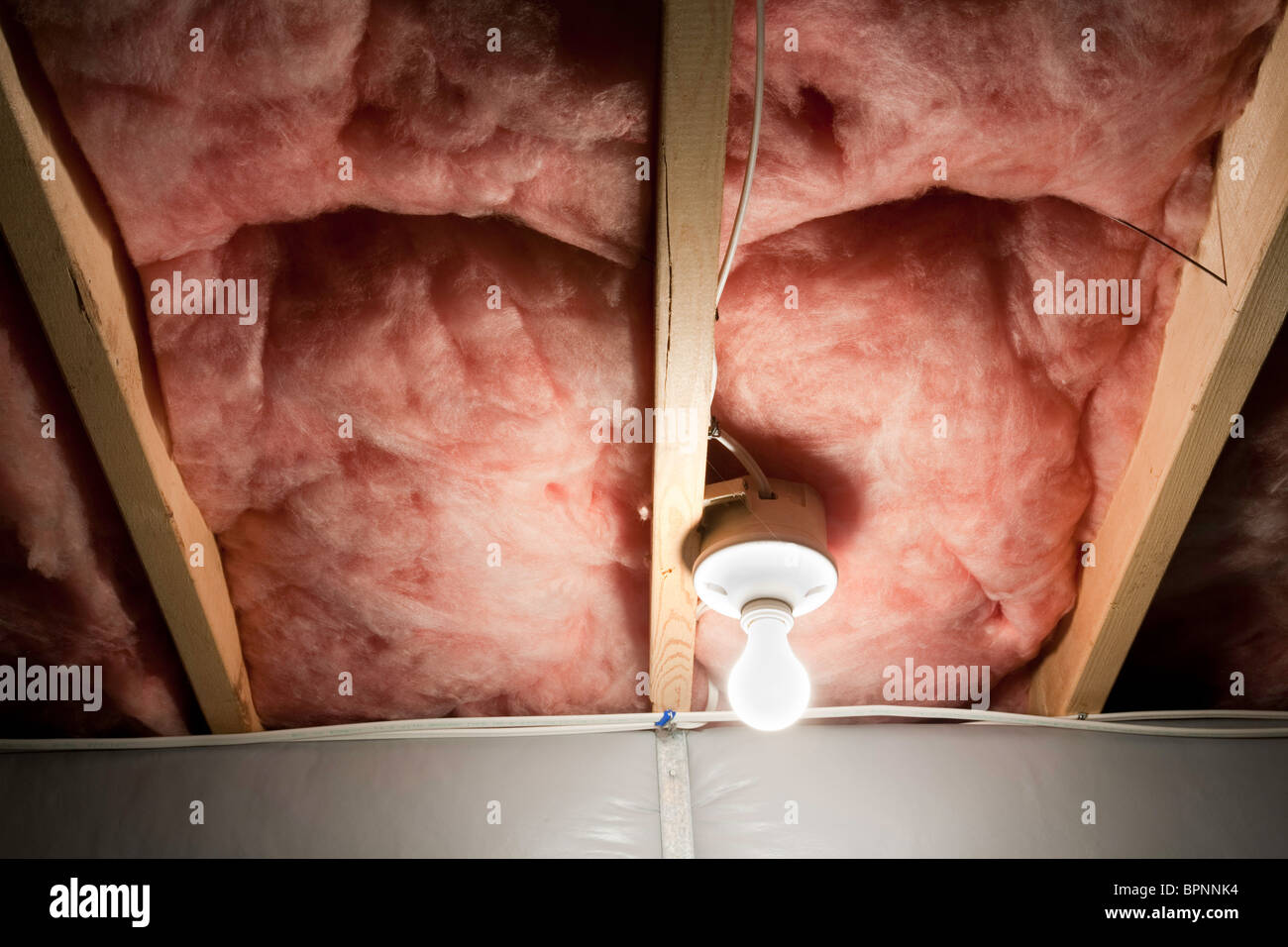 Home Fiberglass Insulation in Unfinished Ceiling with Light Socket