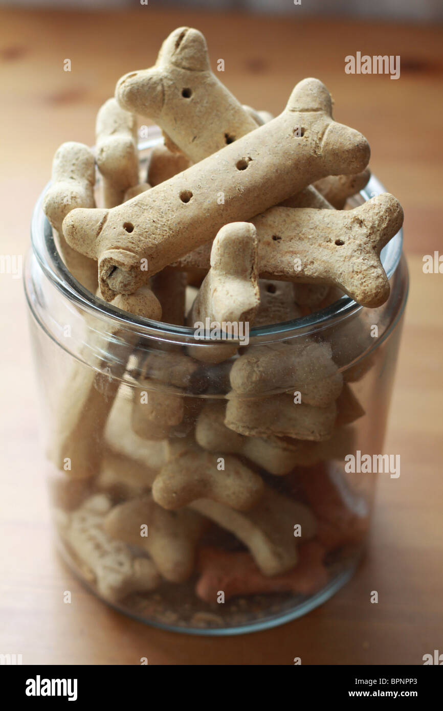 A glass jar full of dog biscuits Stock Photo Alamy