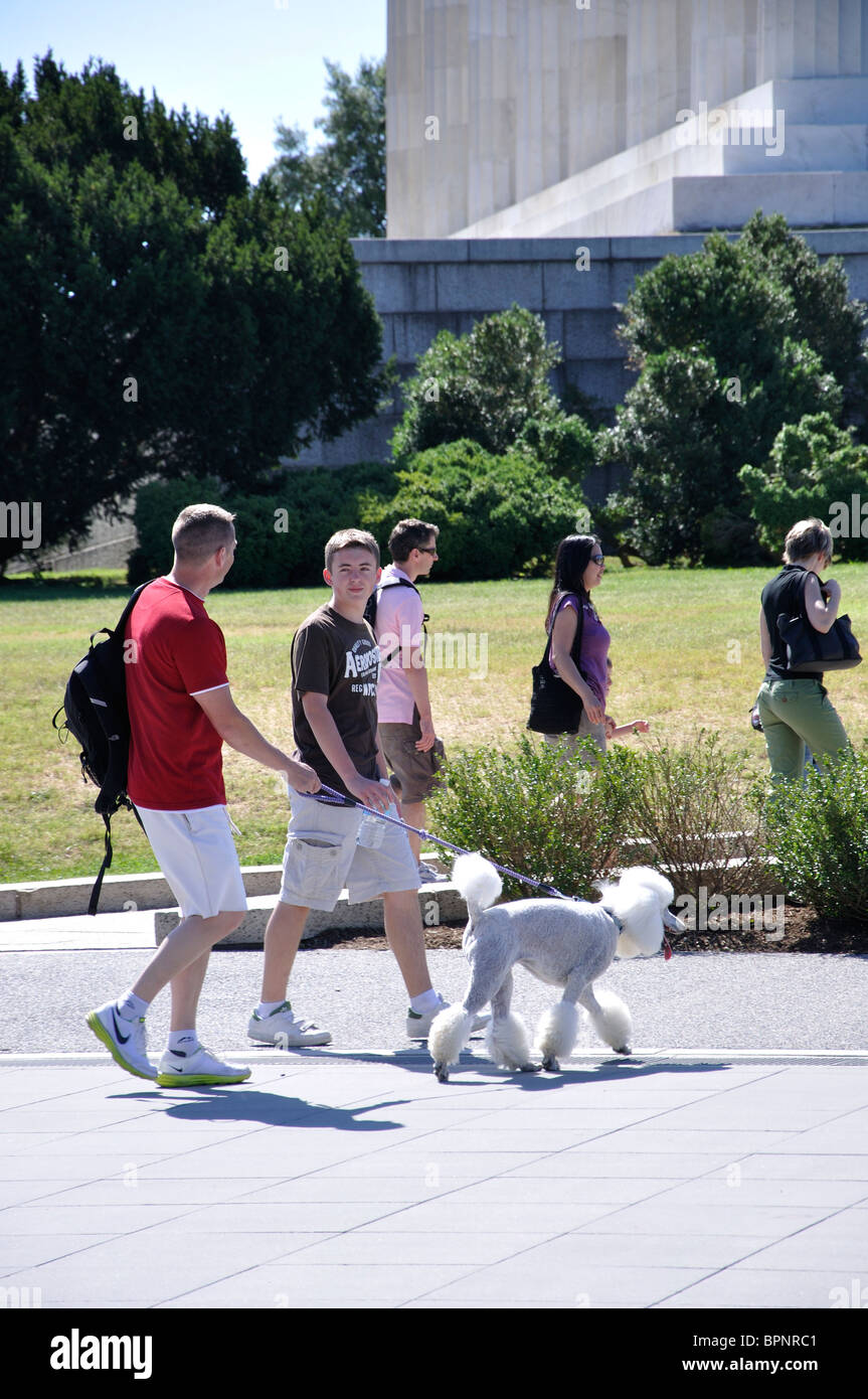 Young men poodle, Washington DC, USA Stock Photo Alamy