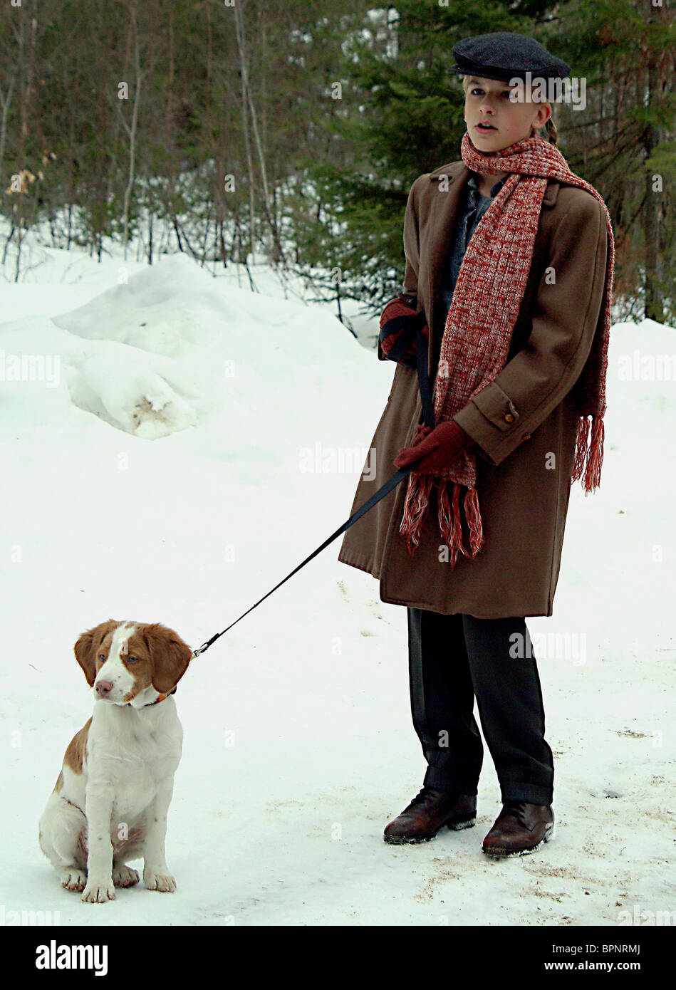 dogs of christmas