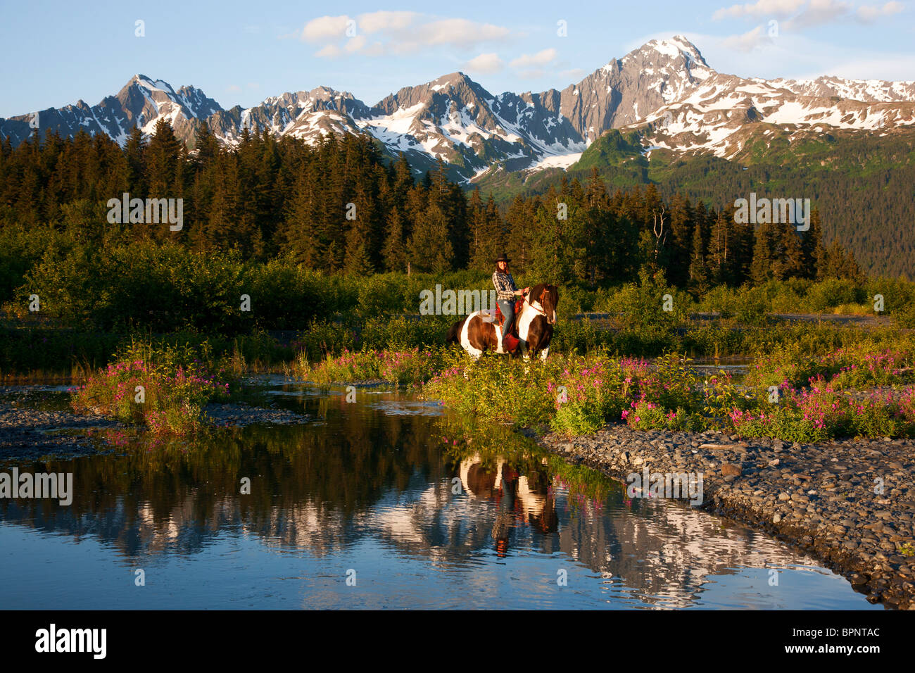 Horseback riding near Resurrection Bay, Seward, Alaska Stock Photo Alamy