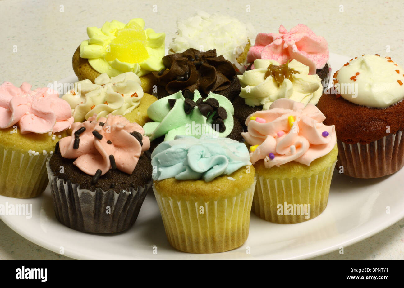 One Dozen Various Cupcakes On A White Plate.Icing includes chocolate, lemon, strawberry, green, blue, yellow, pink, coconut Stock Photo