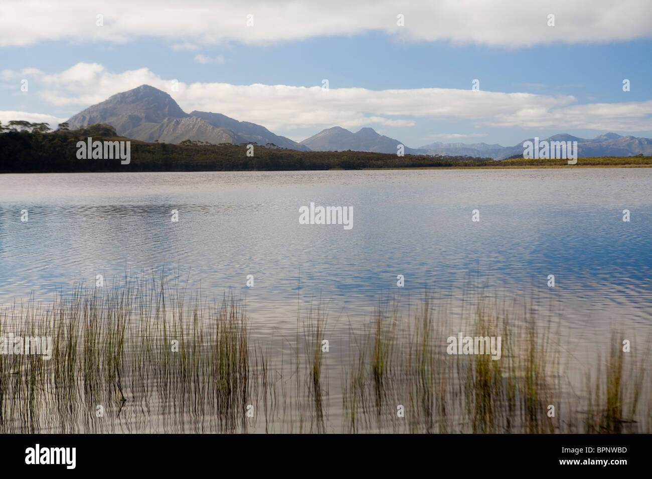 View to Mt Rugby across Melaleuca Lagoon Stock Photo
