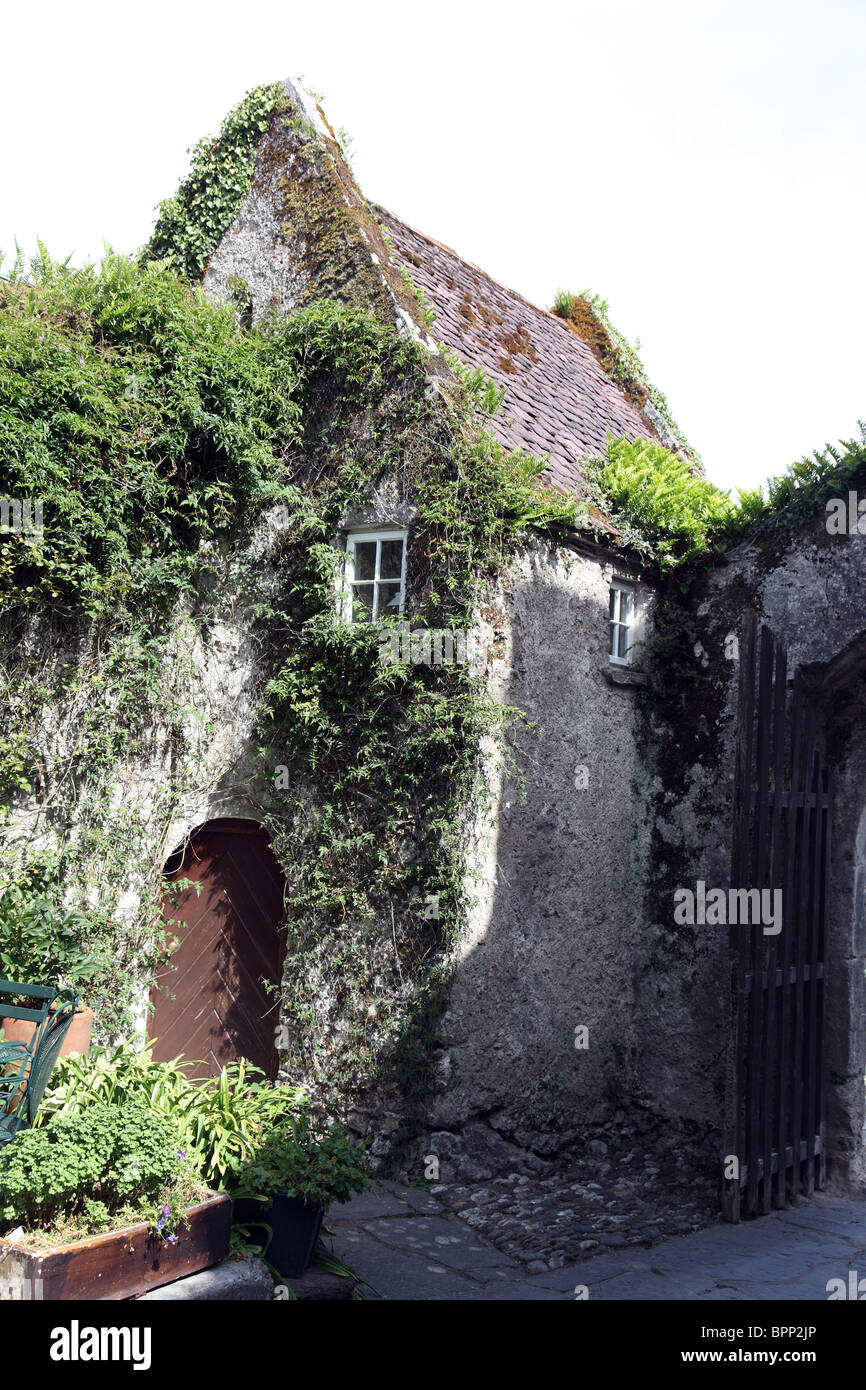 The Tower, 15th century Tower, Ballymaloe, Irish stately home hotel, Co. Cork, Ireland Stock Photo