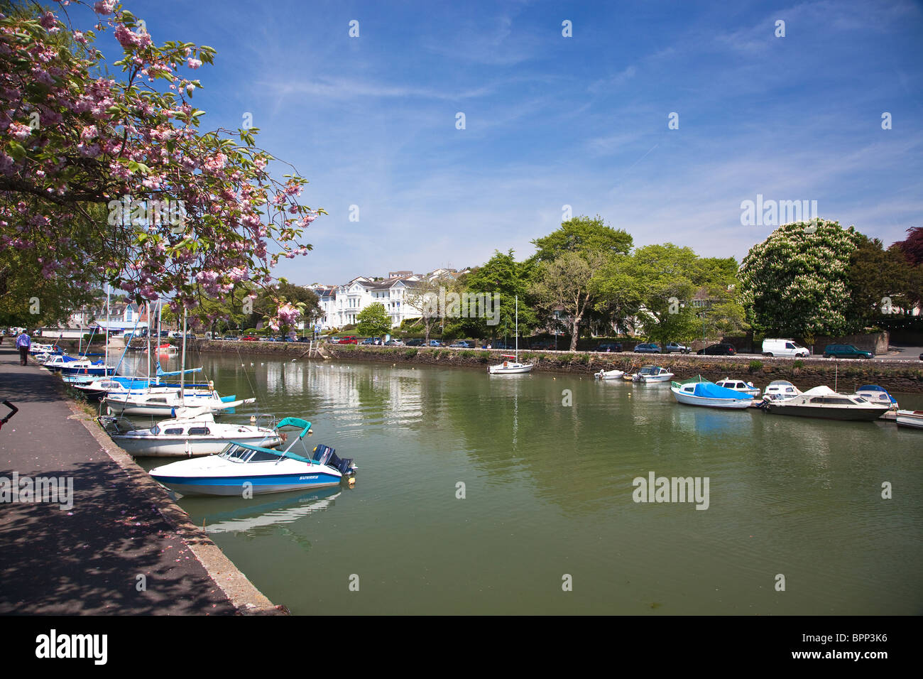 Kingsbridge Estuary, Kingsbridge, Devon UK Stock Photo Alamy