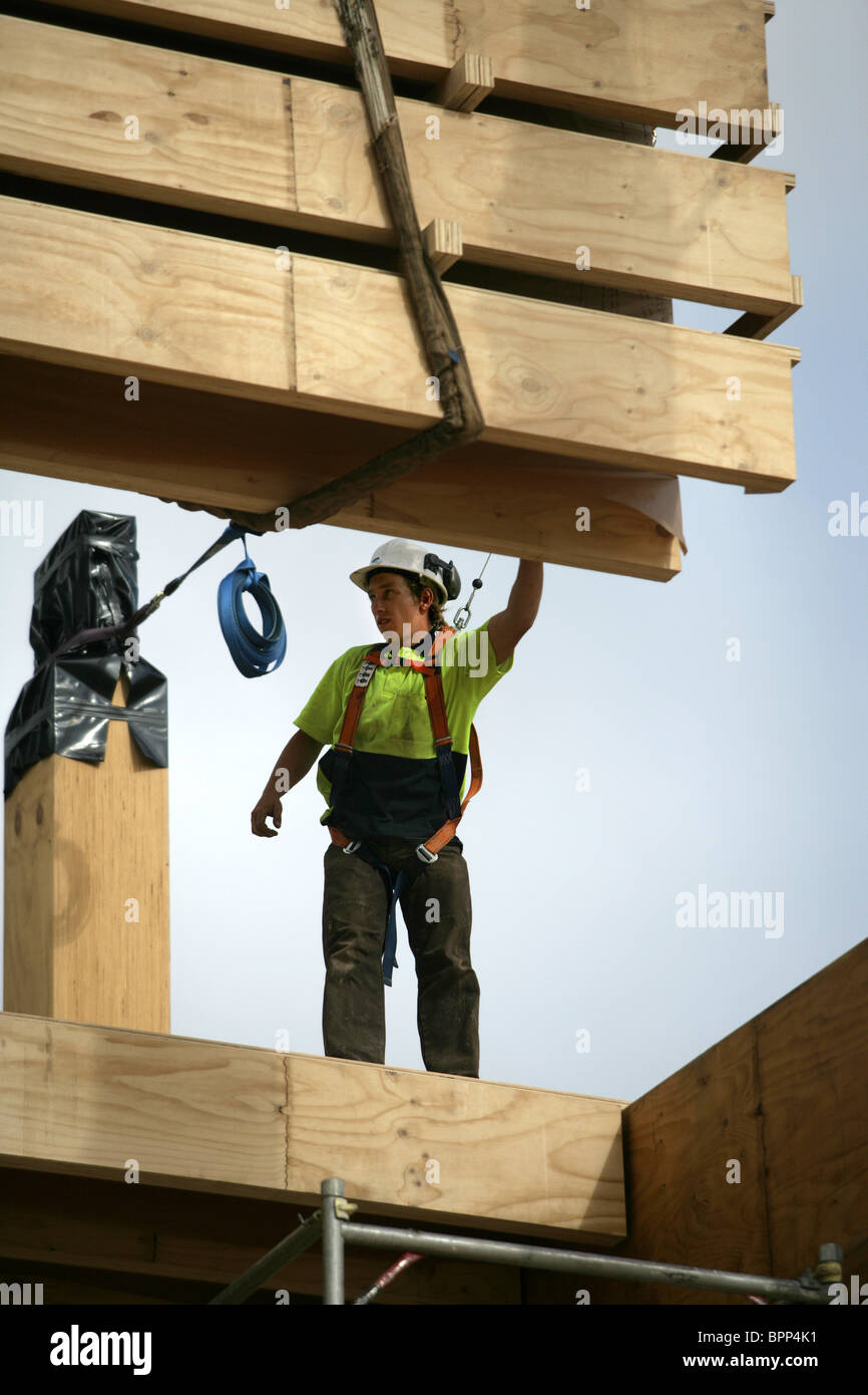 The timber and LVL laminated veneer lumber frame for NMIT's new Arts