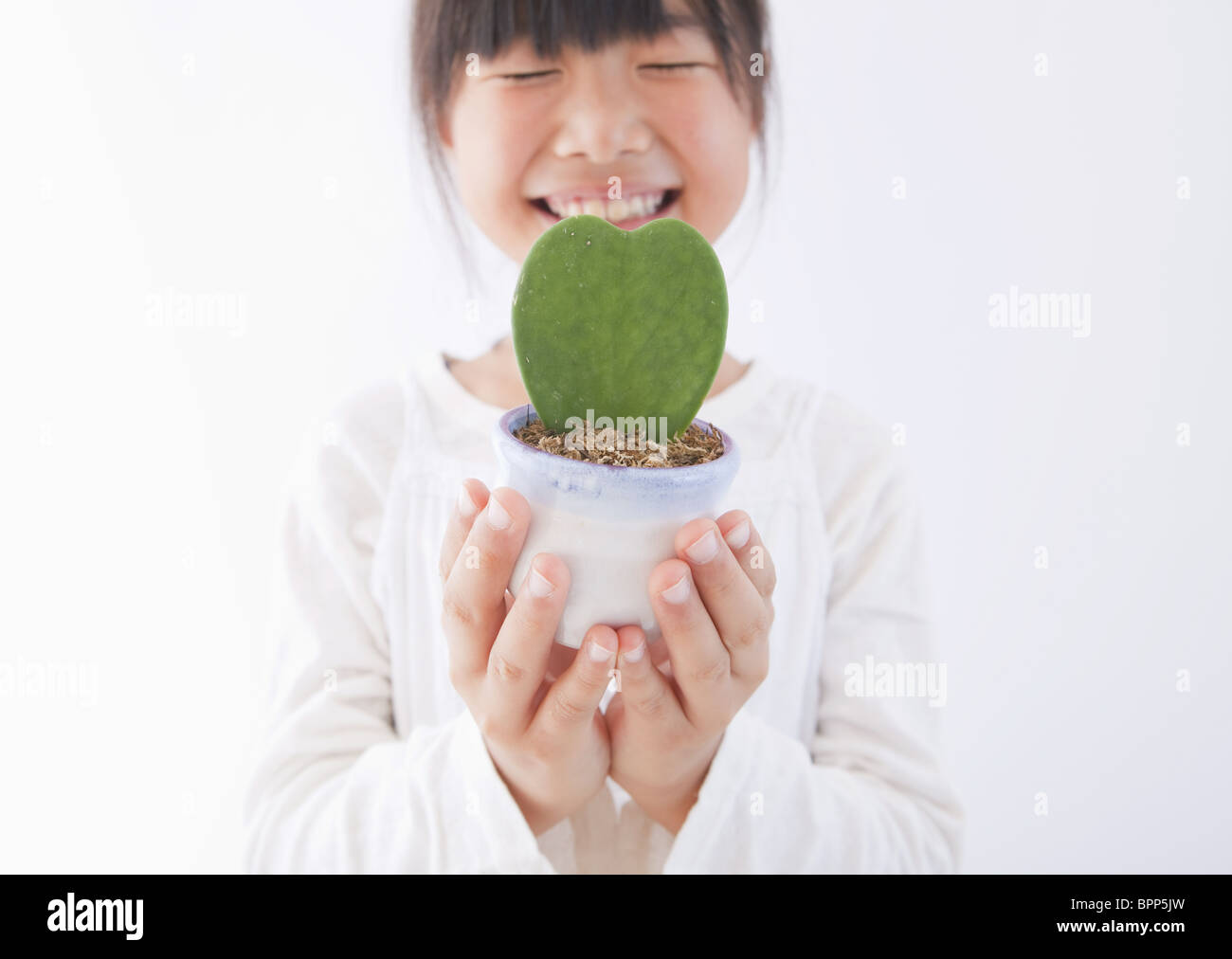 Girl holding a potted plant Stock Photo - Alamy