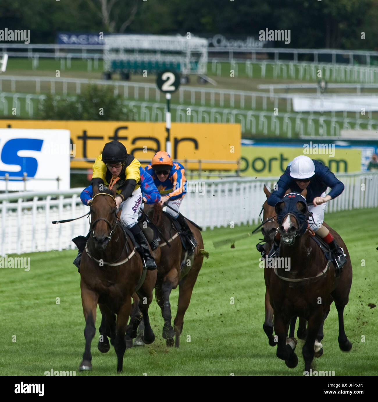 'Moorhouse Lad' Tom Eaves, 'Rowe Park' Ted Durcan, 'Spin Cycle' Richard Mullan Audi King George Stakes, Goodwood, 29th July 2010 Stock Photo