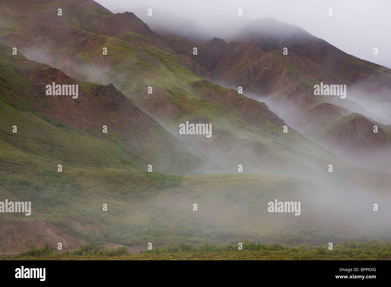 Stormy weather, Denali National Park, Alaska. Stock Photo