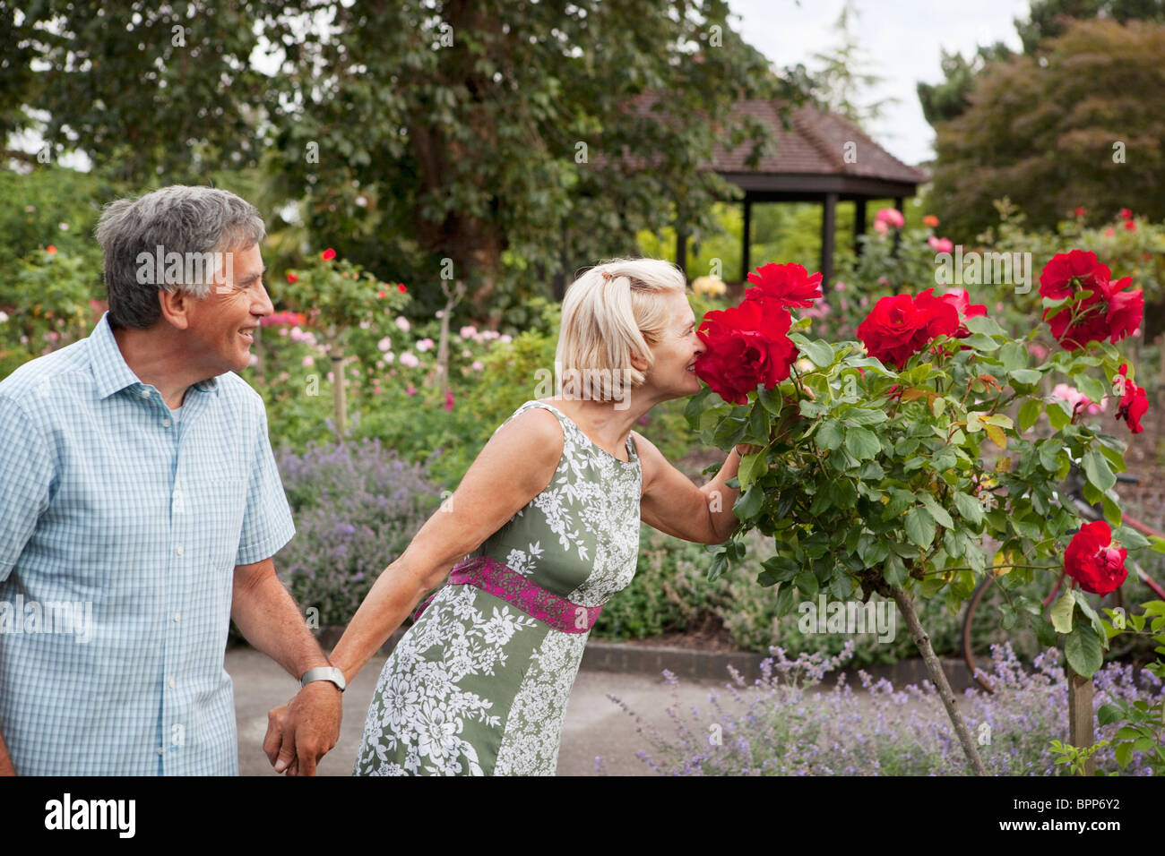 Mature couple in rose garden Stock Photo