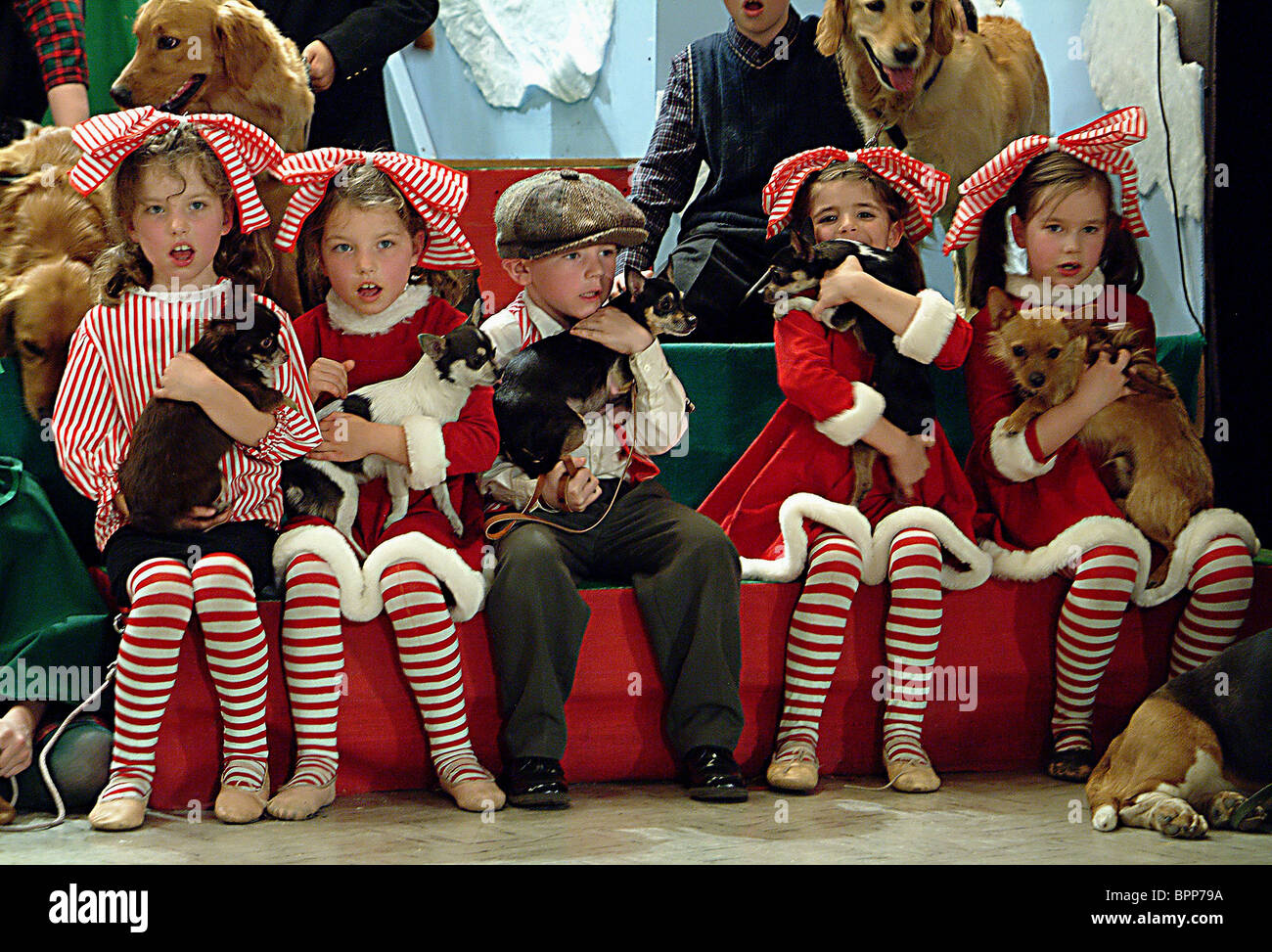 Natale 2005.Young Children Dogs The 12 Dogs Of Christmas 2005 Stock Photo Alamy