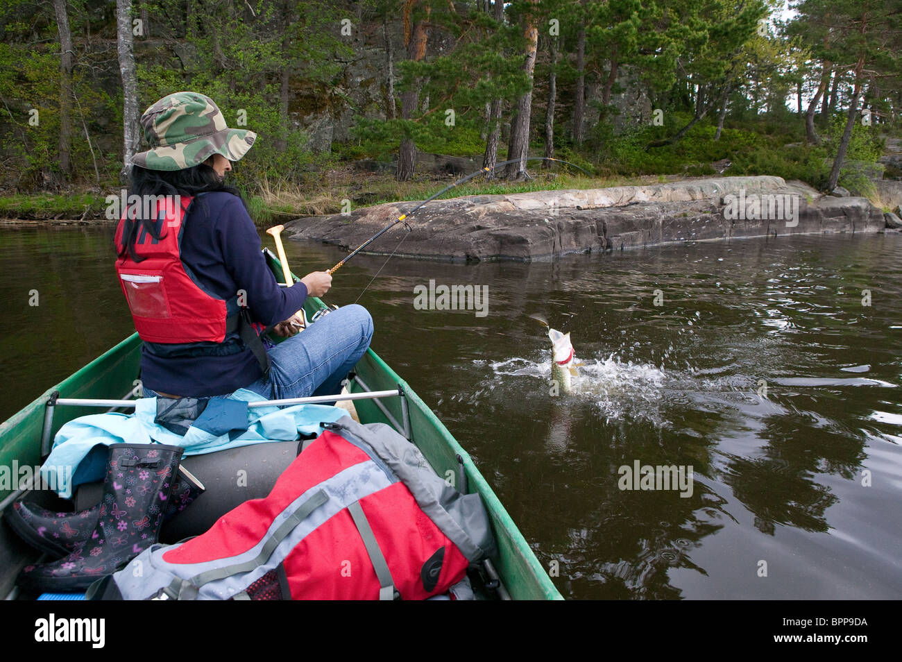 Girl with a Northern Pike, Esox lucius, caught in the lake Vansjø in  Østfold, Norway. Vansjø is a part of the water system called Morsavassdraget. Stock Photo