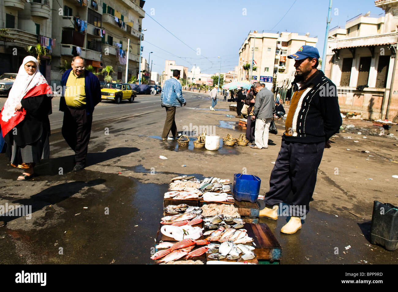 Fresh fish and seafood sold near the fishermen harbor in Alexandria, Egypt. Stock Photo