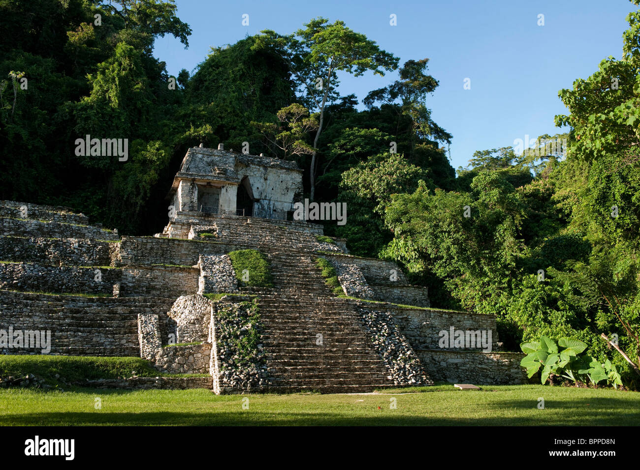 Maya ruins of Palenque, Chiapas, Mexico Stock Photo