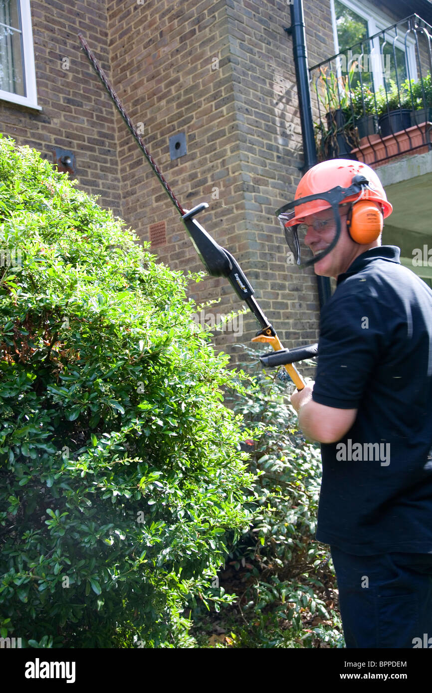 Man trimming hedge with hedge trimmer Stock Photo Alamy