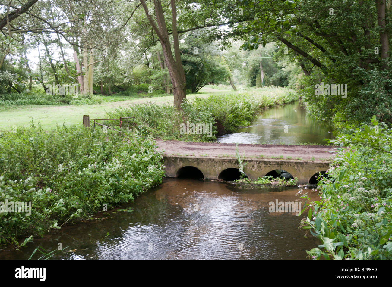 The small River Pant in the Essex countryside Stock Photo