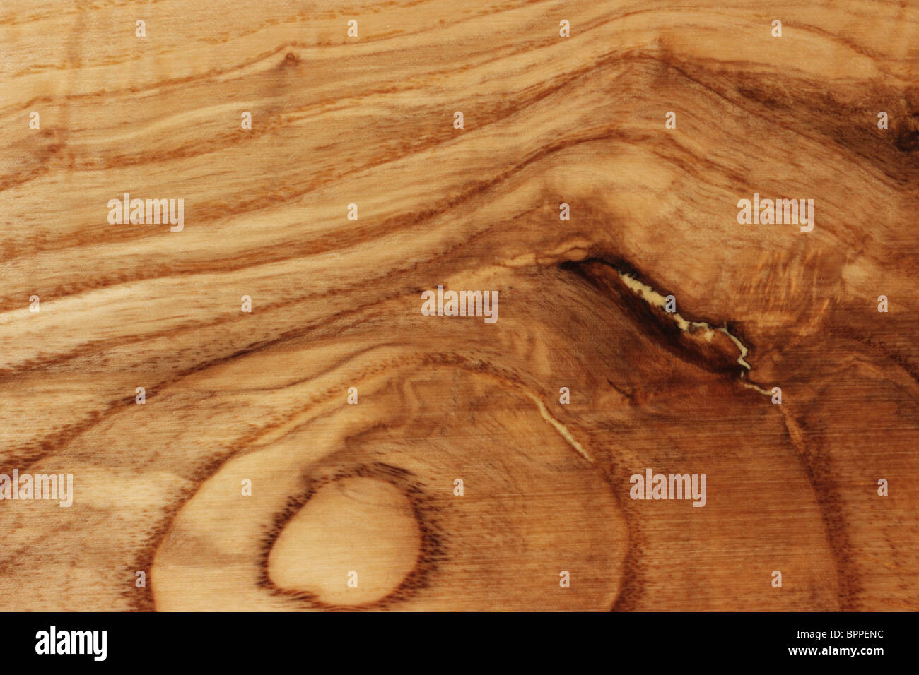 Distinct structure of ash wood close up Stock Photo Alamy