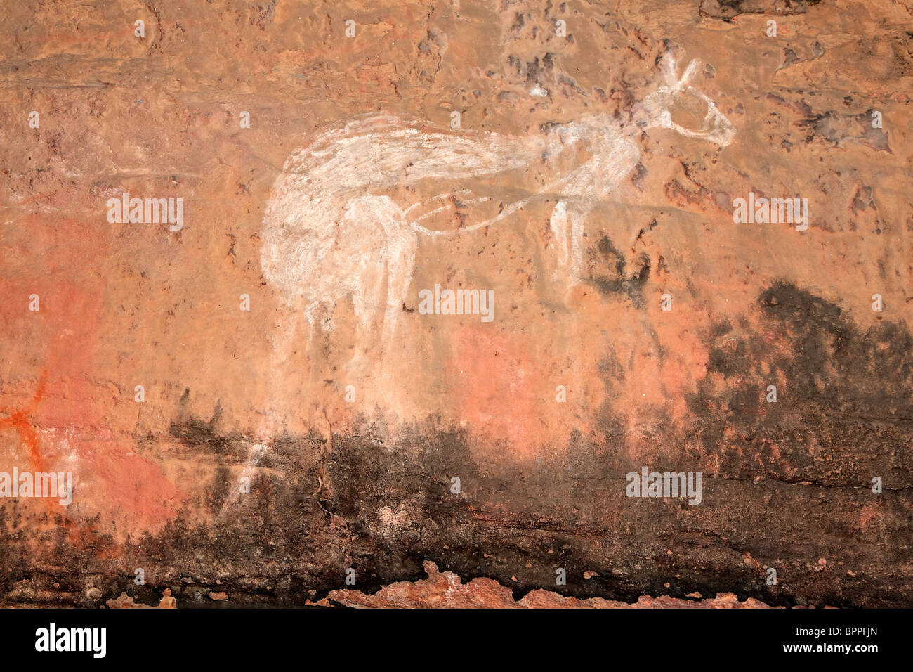 Aboriginal rock art (Kangaroo) at Nourlangie, Kakadu National Park, Northern Territory, Australia Stock Photo