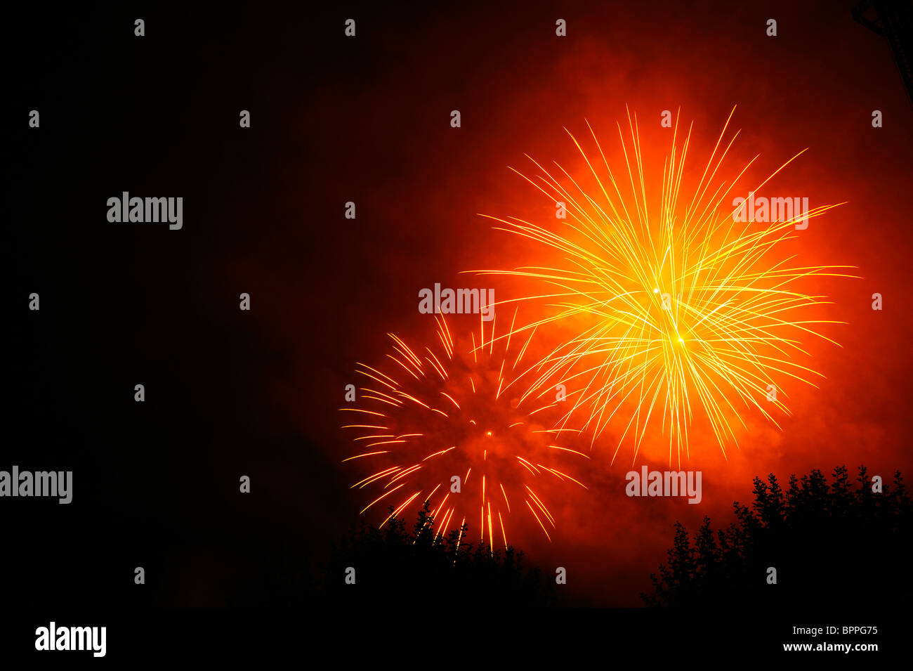 Firework bursts in the night sky, over trees (just visible). Space for text in the dark of the night sky. Stock Photo