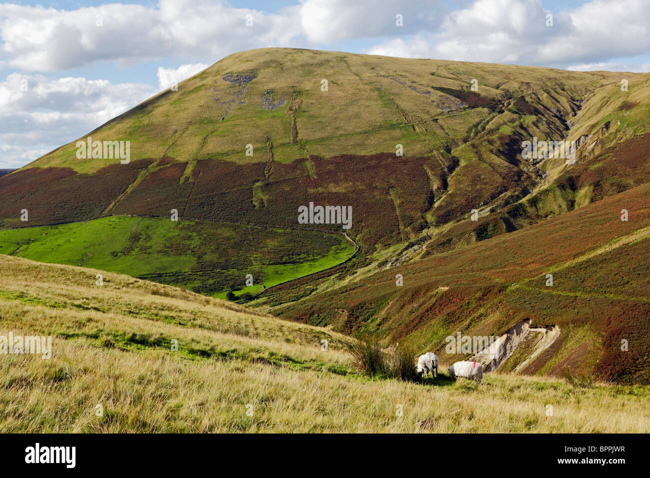Blease Fell near Sedbergh in the Howgill Fells, Yorkshire Dales National Park, Cumbria, England. Stock Photo