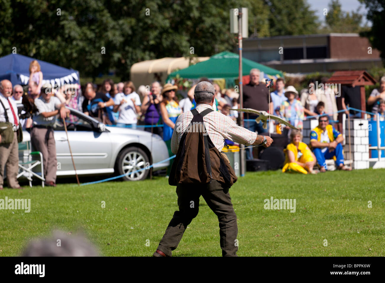 demonstration of falconry at village show Stock Photo Alamy