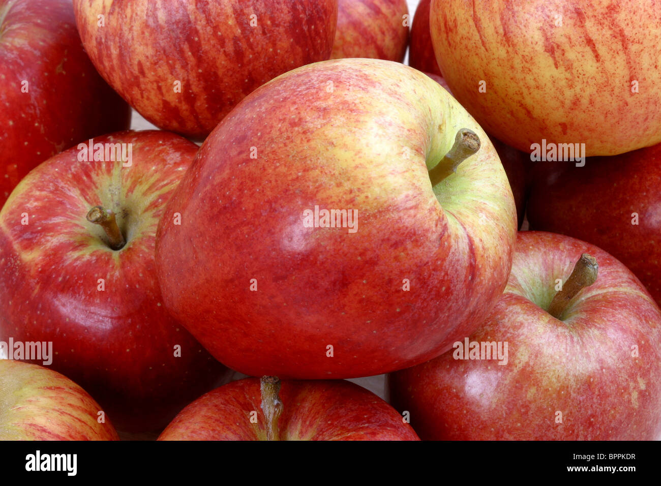 Royal Gala apples Stock Photo Alamy