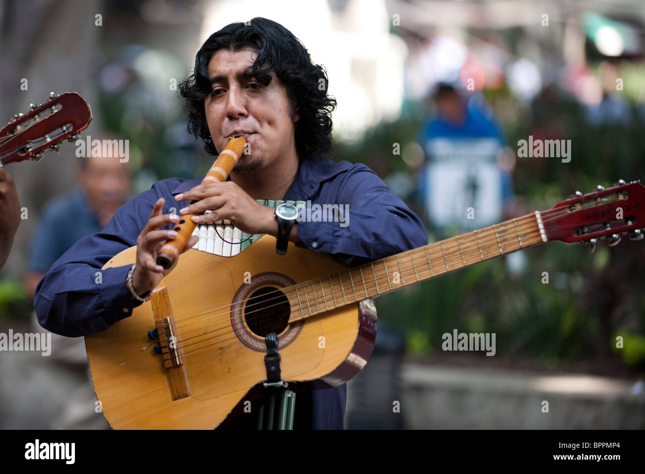 Street musician, Oaxaca, Mexico Stock Photo Alamy