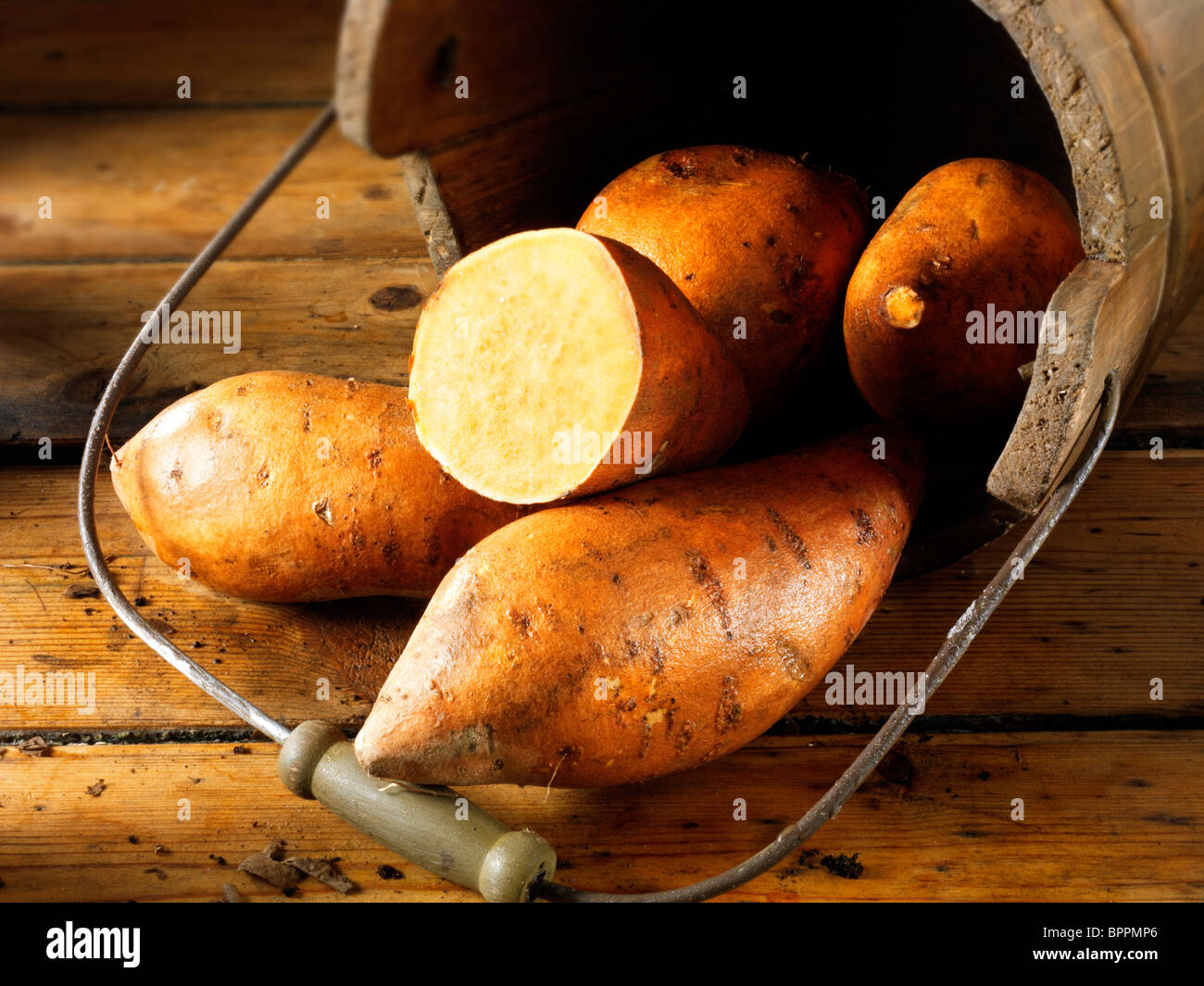 Fresh bug sweet potatoes in a rustic wooden bucket on a wood table