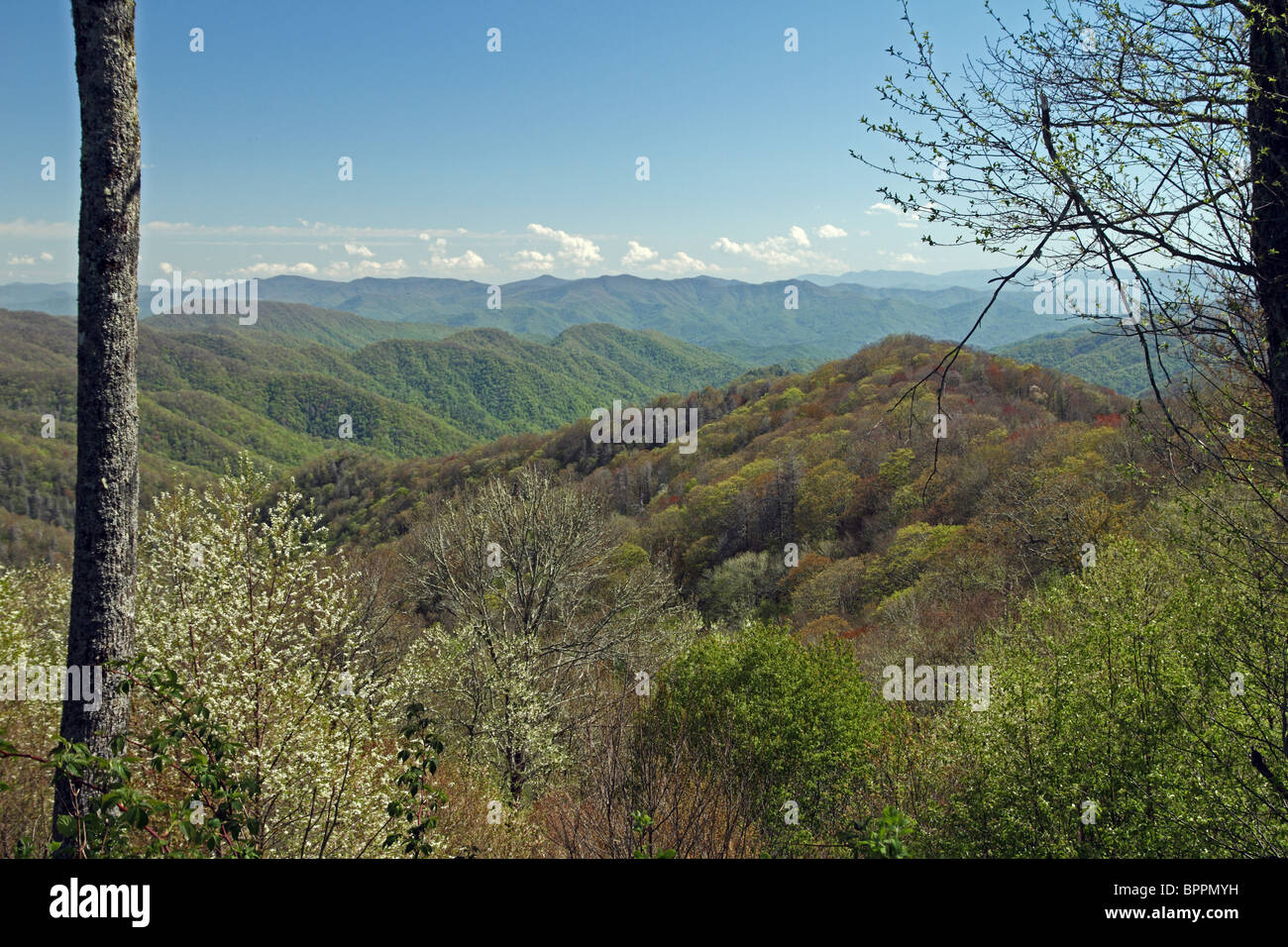 Tennessee north carolina border hi-res stock photography and images - Alamy