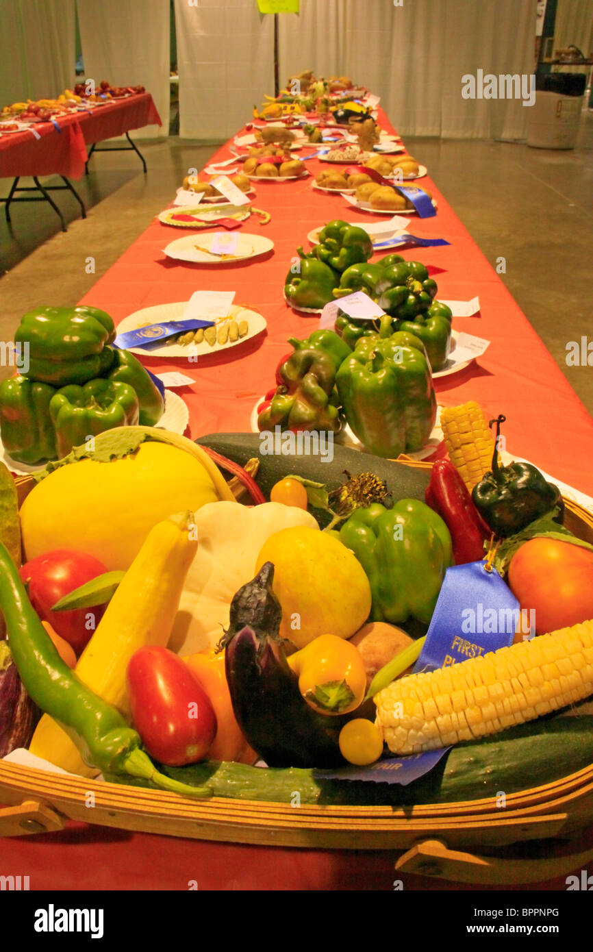 Vegetable Competition, Augusta County Fair, Fishersville, Shenandoah