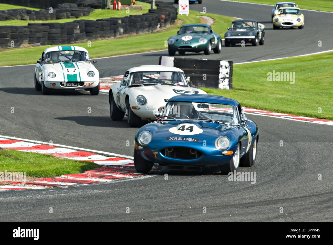 Five E Type Jaguar Race Cars and Two Lotus Elans Negotiate Brittens at Oulton Park Motor Racing Circuit Cheshire England UK Stock Photo