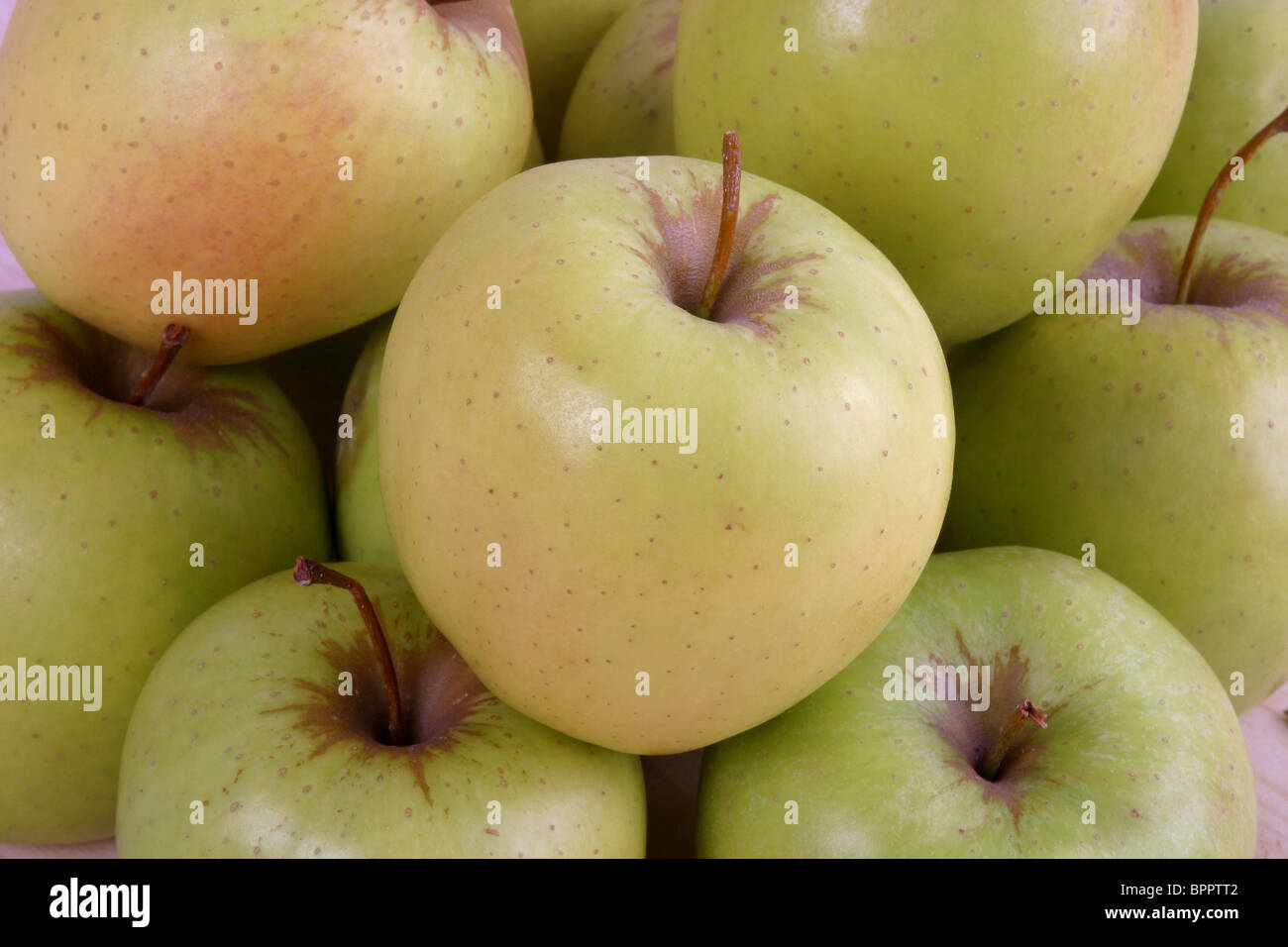 Golden Delicious apples Stock Photo