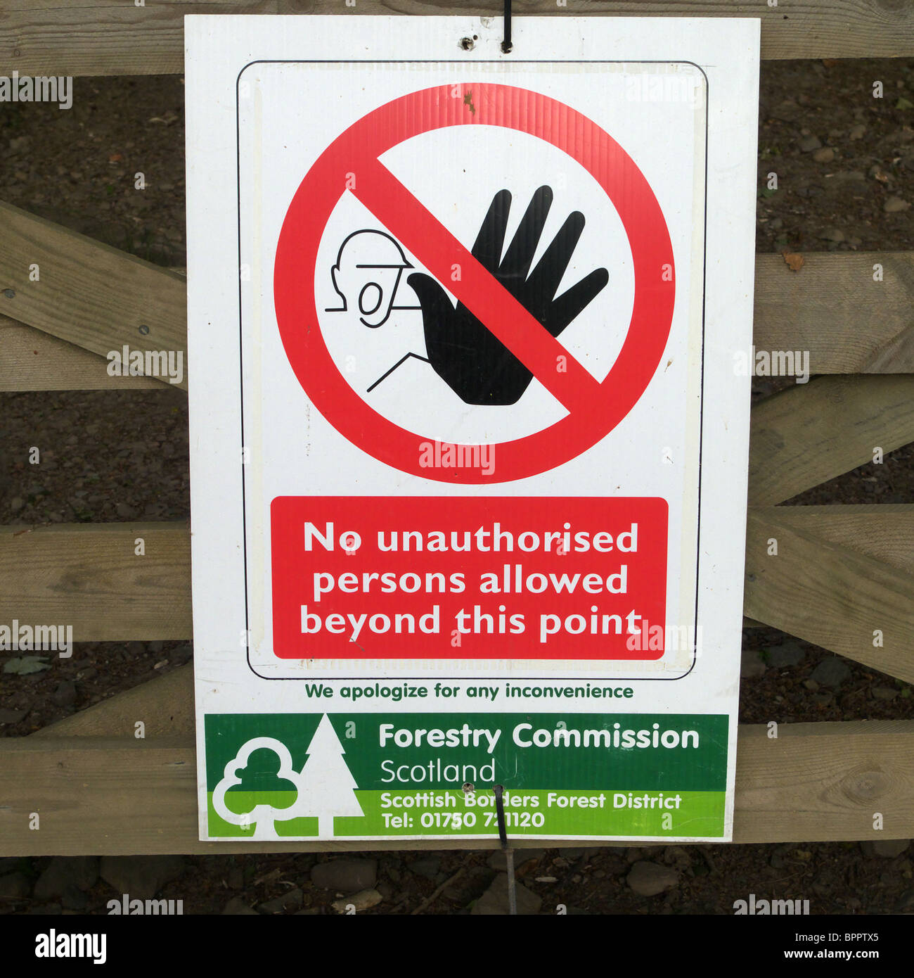 No access sign on Forestry Commission woodland, UK Stock Photo