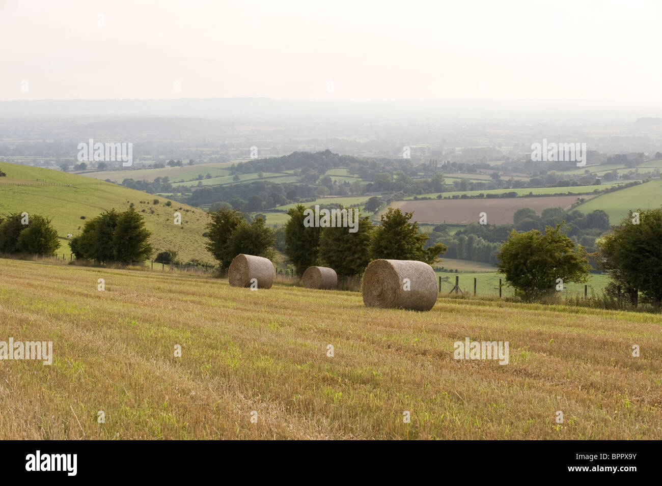 Gathering the harvest; Hay bales wait for the farmer to gather them in