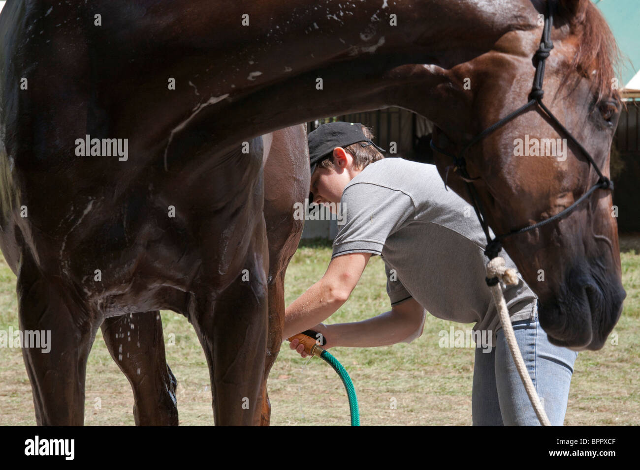 Richland Park Horse Trials Stock Photo