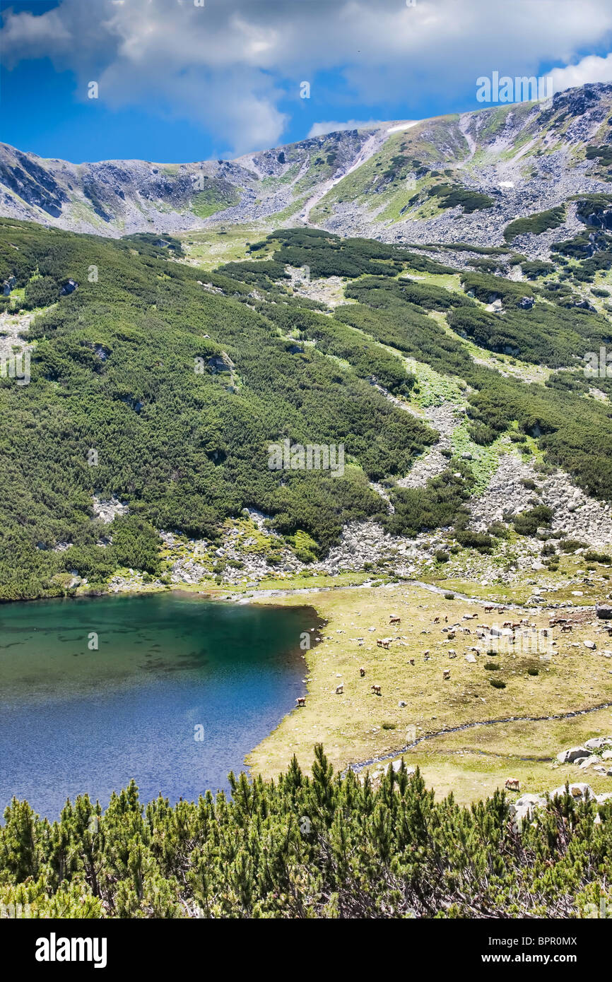 Slaveiu Ridge Remote Path Slaveiu ridge hi-res stock photography and images - Alamy