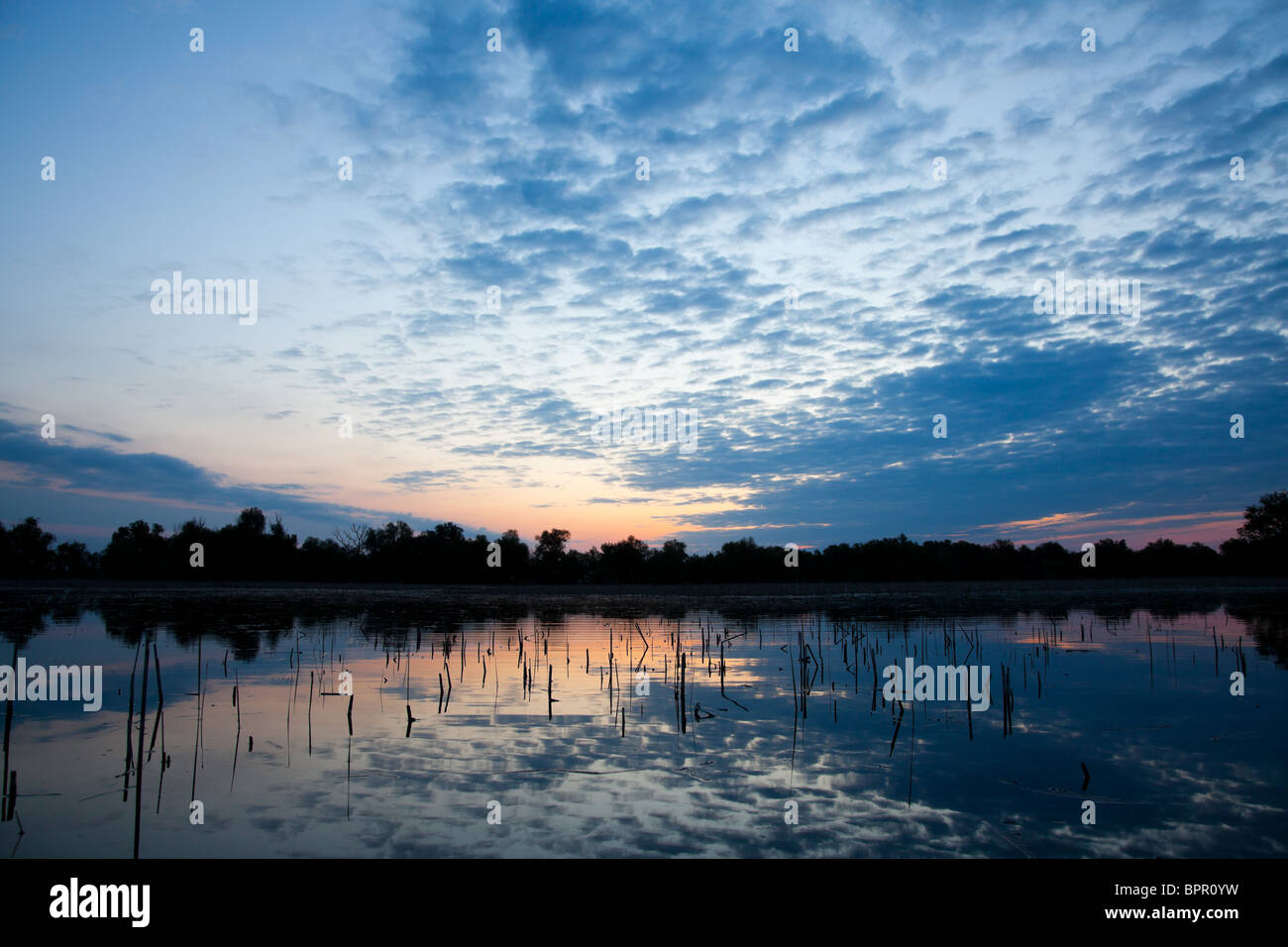 Sunrise landscape over a lake in the Danube Delta, Romania. Stock Photo