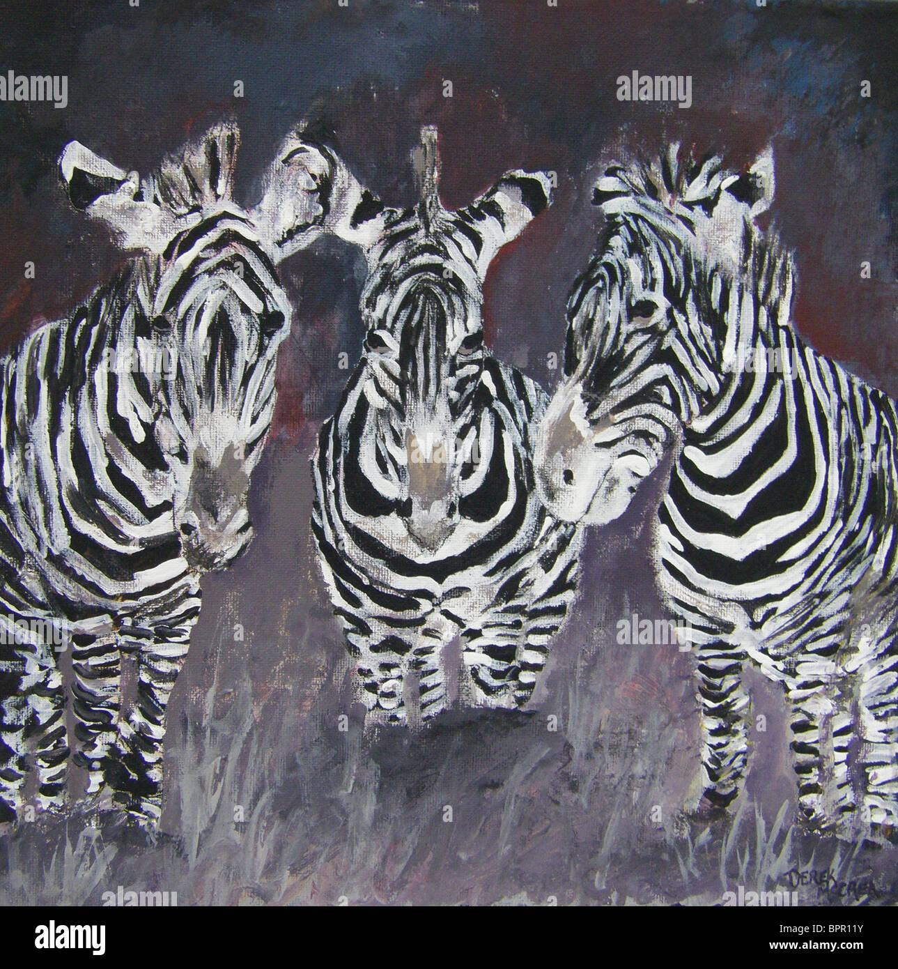 zebra oil painting Stock Photo Alamy
