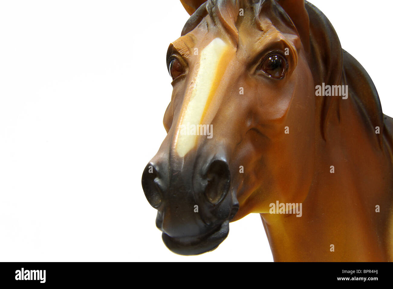 Brown horse in white background Stock Photo